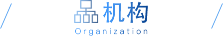 揭晓